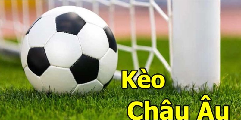 Kèo châu âu 23win hấp dẫn người chơi